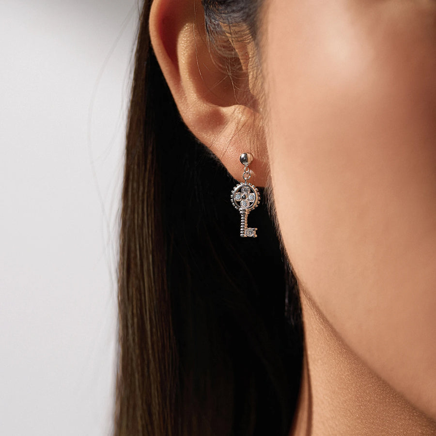 925 Sterling Silver Trendy Fine Jewelry Accessories (Earrings)
