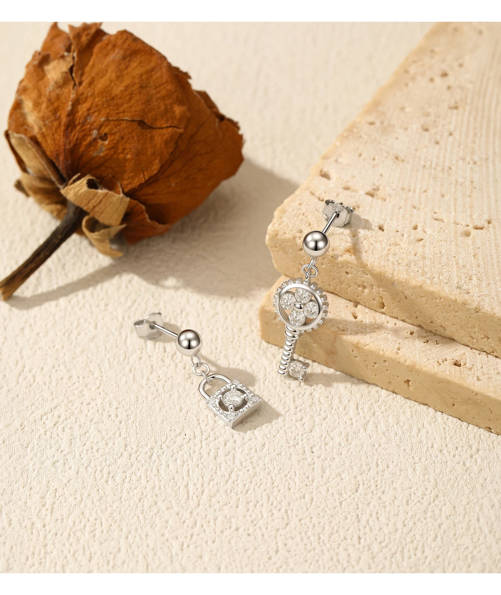 925 Sterling Silver Trendy Fine Jewelry Accessories (Earrings)